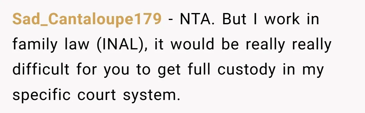 Sad_Cantaloupe179 − NTA. But I work in family law (INAL), it would be really really difficult for you to get full custody in my specific court system.