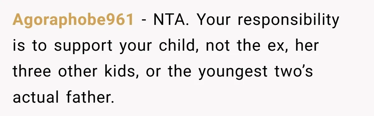 Agoraphobe961 − NTA. Your responsibility is to support your child, not the ex, her three other kids, or the youngest two’s actual father.