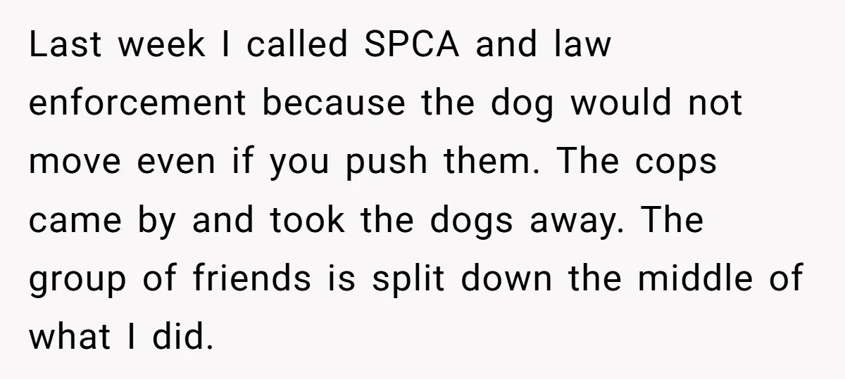 Last week I called SPCA and law enforcement because the dog would not move even if you push them. The cops came by and took the dogs away. The group...