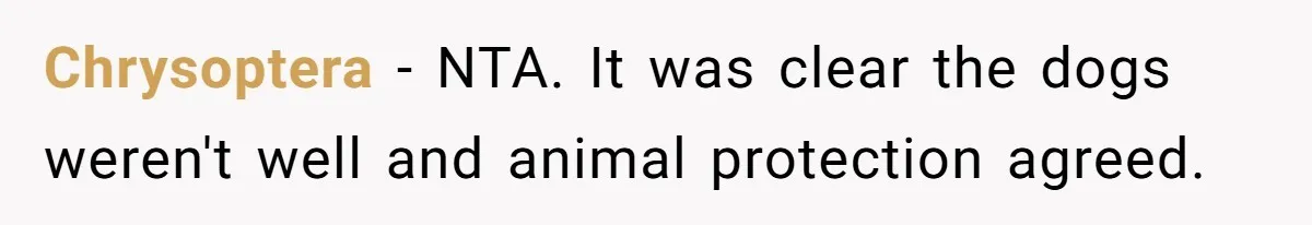 Chrysoptera − NTA. It was clear the dogs weren't well and animal protection agreed.
