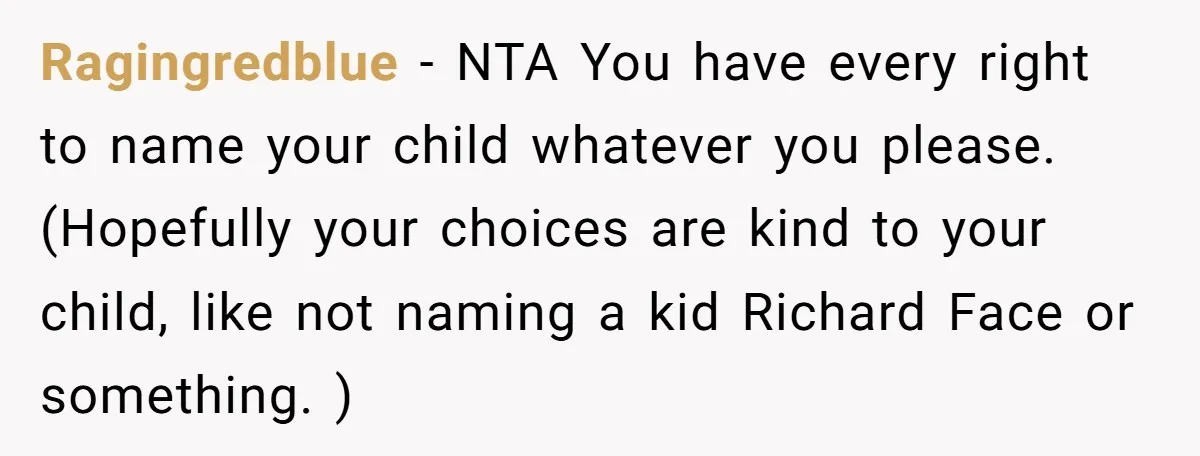 Ragingredblue − NTA You have every right to name your child whatever you please. (Hopefully your choices are kind to your child, like not naming a kid Richard Face or...