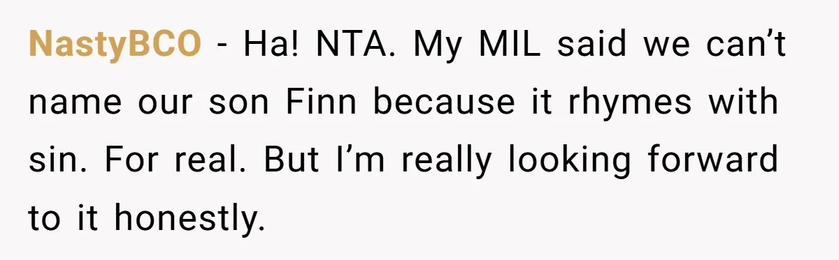 NastyBCO − Ha! NTA. My MIL said we can’t name our son Finn because it rhymes with sin. For real. But I’m really looking forward to it honestly.