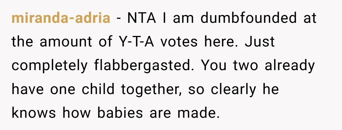 miranda-adria − NTA I am dumbfounded at the amount of Y-T-A votes here. Just completely flabbergasted. You two already have one child together, so clearly he knows how babies are...