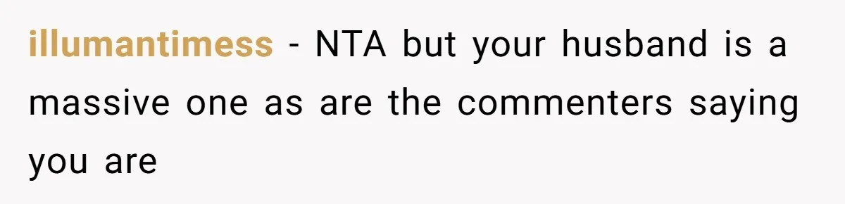 illumantimess − NTA but your husband is a massive one as are the commenters saying you are