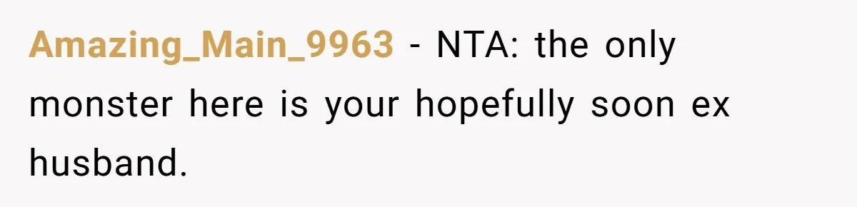 Amazing_Main_9963 − NTA: the only monster here is your hopefully soon ex husband.