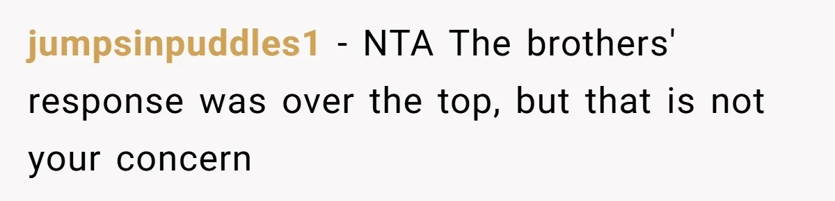 jumpsinpuddles1 − NTA The brothers' response was over the top, but that is not your concern