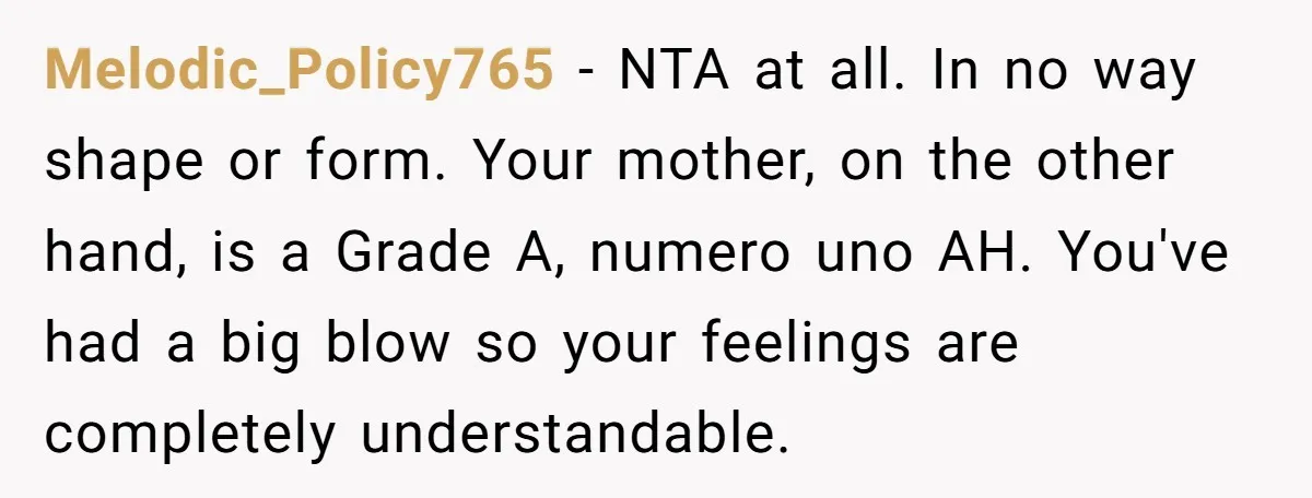Melodic_Policy765 − NTA at all. In no way shape or form. Your mother, on the other hand, is a Grade A, numero uno AH. You've had a big blow so...