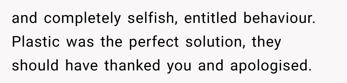 and completely selfish, entitled behaviour. Plastic was the perfect solution, they should have thanked you and apologised.
