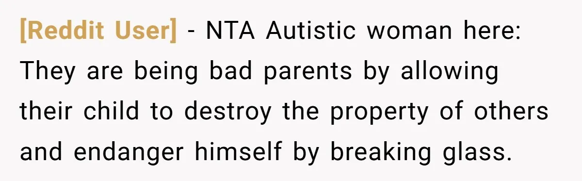 [Reddit User] − NTA Autistic woman here: They are being bad parents by allowing their child to destroy the property of others and endanger himself by breaking glass.