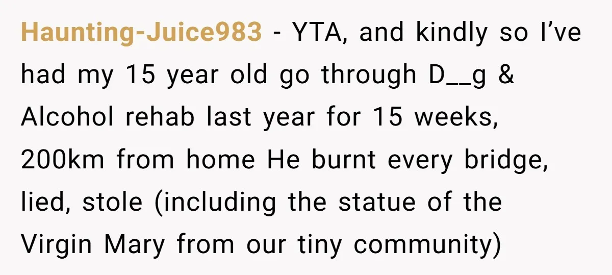 Haunting-Juice983 − YTA, and kindly so I’ve had my 15 year old go through D__g & Alcohol rehab last year for 15 weeks, 200km from home He burnt every bridge,...