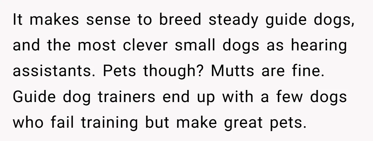 It makes sense to breed steady guide dogs, and the most clever small dogs as hearing assistants. Pets though? Mutts are fine. Guide dog trainers end up with a few...