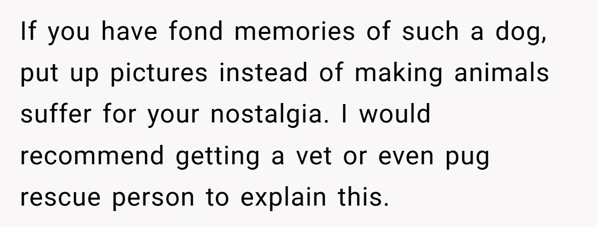 If you have fond memories of such a dog, put up pictures instead of making animals suffer for your nostalgia. I would recommend getting a vet or even pug rescue...