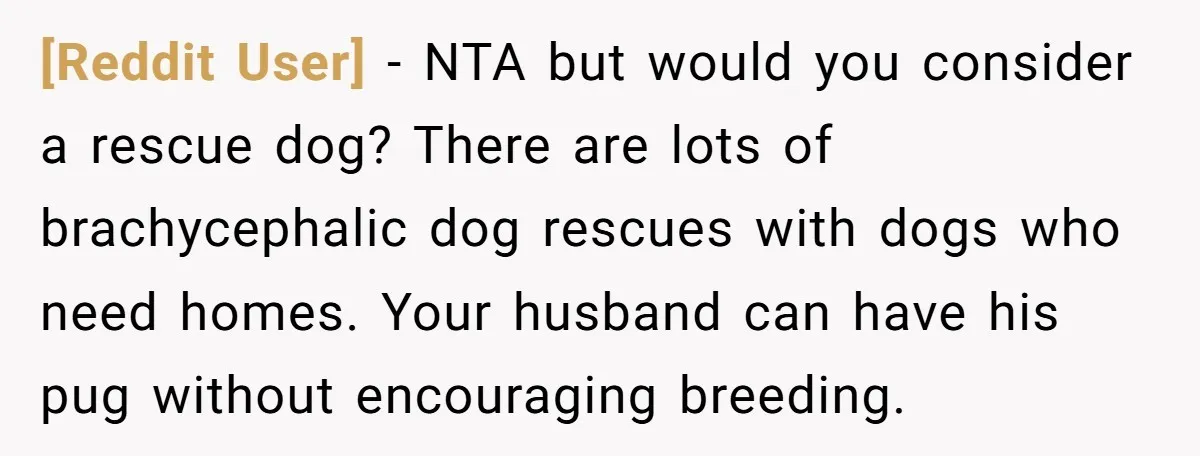 [Reddit User] − NTA but would you consider a rescue dog? There are lots of brachycephalic dog rescues with dogs who need homes. Your husband can have his pug without...