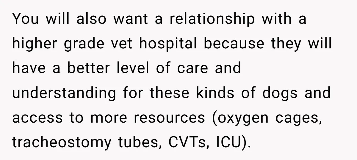 You will also want a relationship with a higher grade vet hospital because they will have a better level of care and understanding for these kinds of dogs and access...