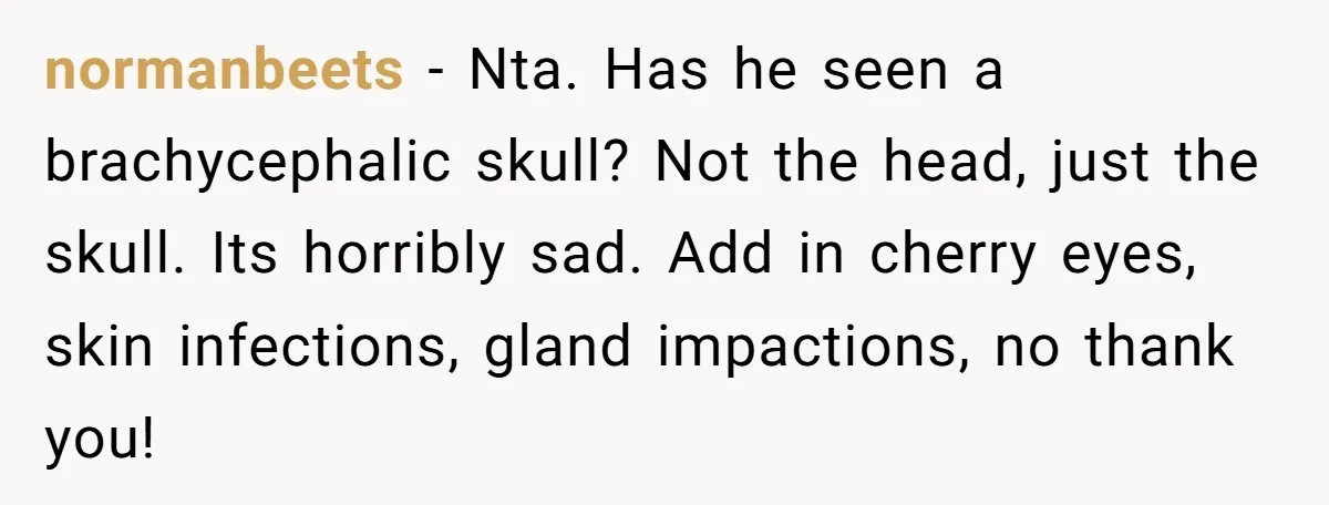 normanbeets − Nta. Has he seen a brachycephalic skull? Not the head, just the skull. Its horribly sad. Add in cherry eyes, skin infections, gland impactions, no thank you!