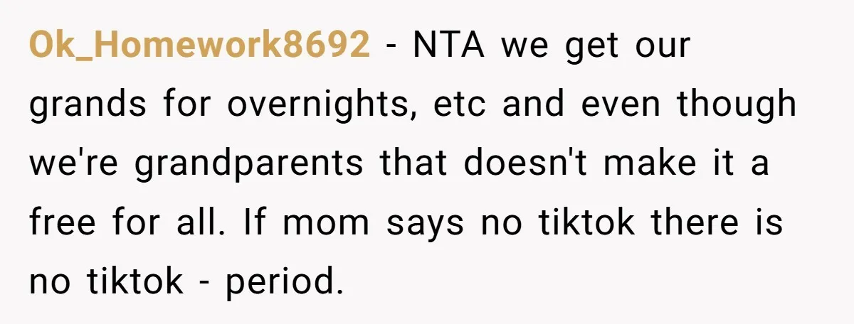 Ok_Homework8692 − NTA we get our grands for overnights, etc and even though we're grandparents that doesn't make it a free for all. If mom says no tiktok there is...