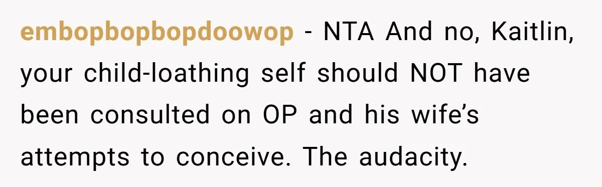 embopbopbopdoowop − NTA And no, Kaitlin, your child-loathing self should NOT have been consulted on OP and his wife’s attempts to conceive. The audacity.