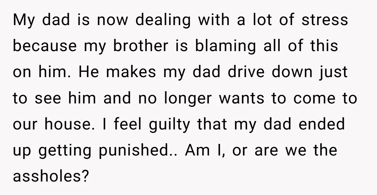 My dad is now dealing with a lot of stress because my brother is blaming all of this on him. He makes my dad drive down just to see him...