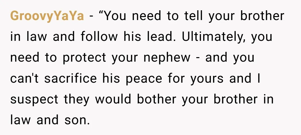 GroovyYaYa − “You need to tell your brother in law and follow his lead. Ultimately, you need to protect your nephew - and you can't sacrifice his peace for yours...