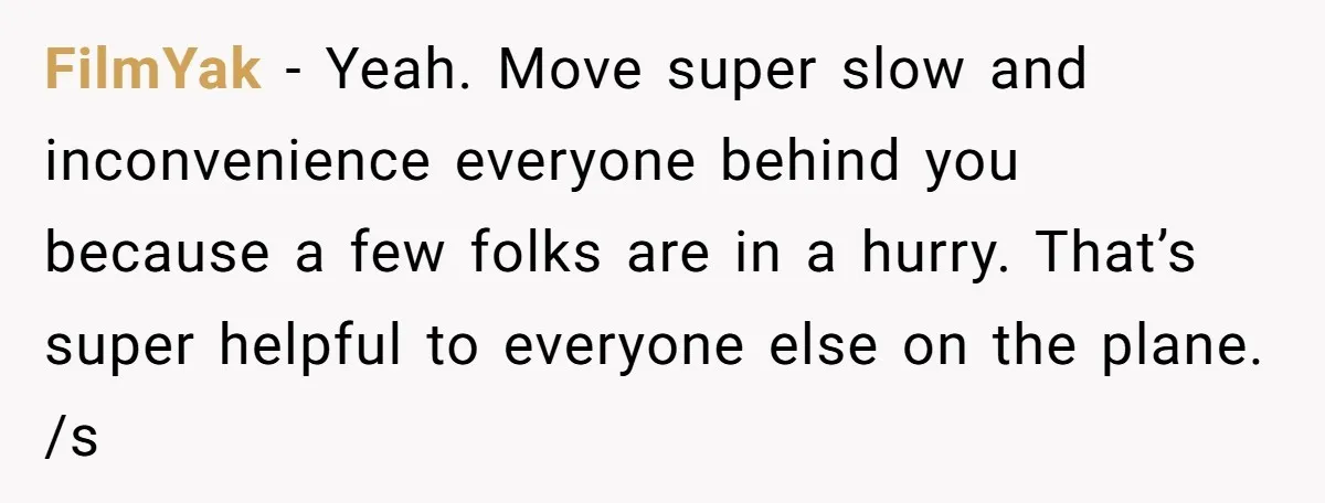 FilmYak − Yeah. Move super slow and inconvenience everyone behind you because a few folks are in a hurry. That’s super helpful to everyone else on the plane. /s
