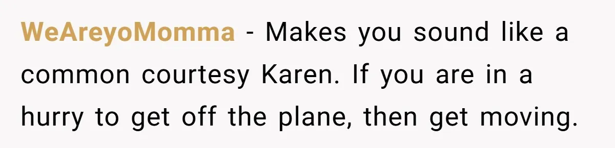 WeAreyoMomma − Makes you sound like a common courtesy Karen. If you are in a hurry to get off the plane, then get moving.