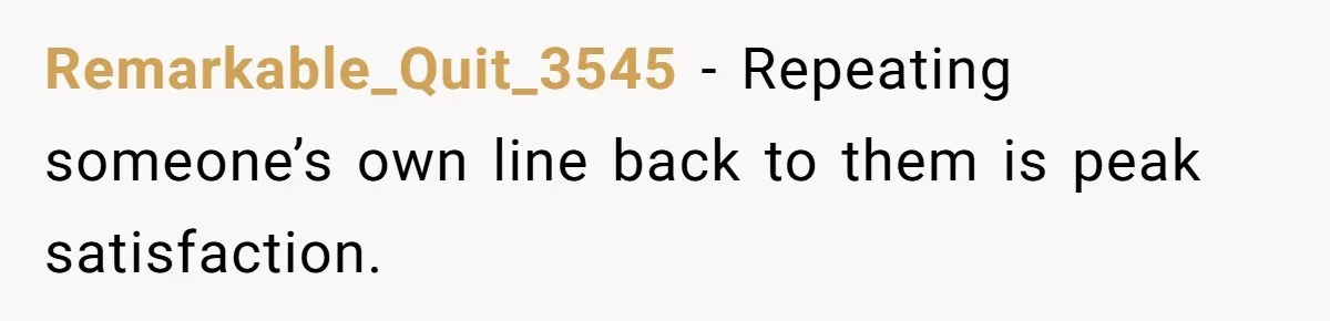 Remarkable_Quit_3545 − Repeating someone’s own line back to them is peak satisfaction.