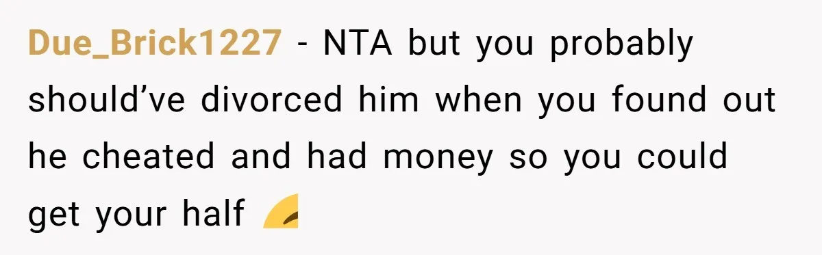 Due_Brick1227 − NTA but you probably should’ve divorced him when you found out he cheated and had money so you could get your half 🙃