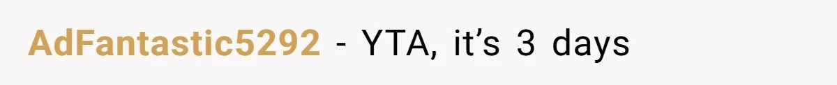 AdFantastic5292 − YTA, it’s 3 days