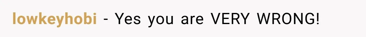 lowkeyhobi − Yes you are VERY WRONG!
