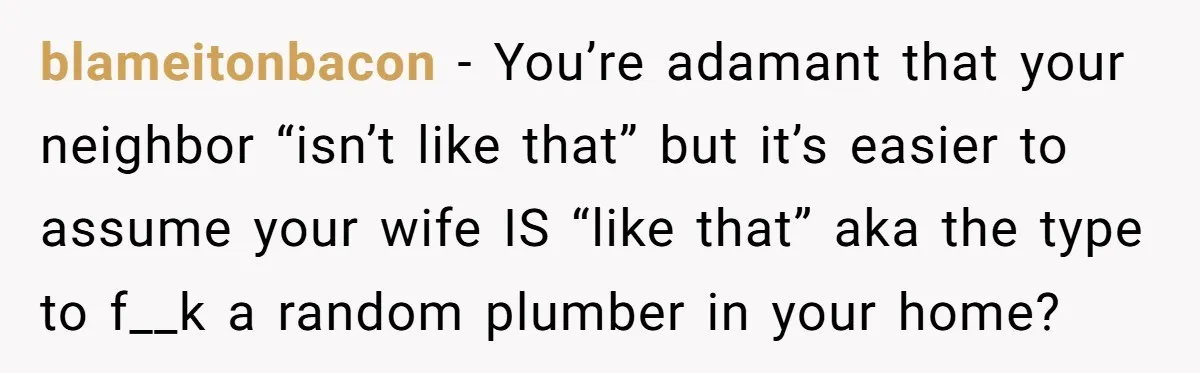 blameitonbacon − You’re adamant that your neighbor “isn’t like that” but it’s easier to assume your wife IS “like that” aka the type to f__k a random plumber in your...