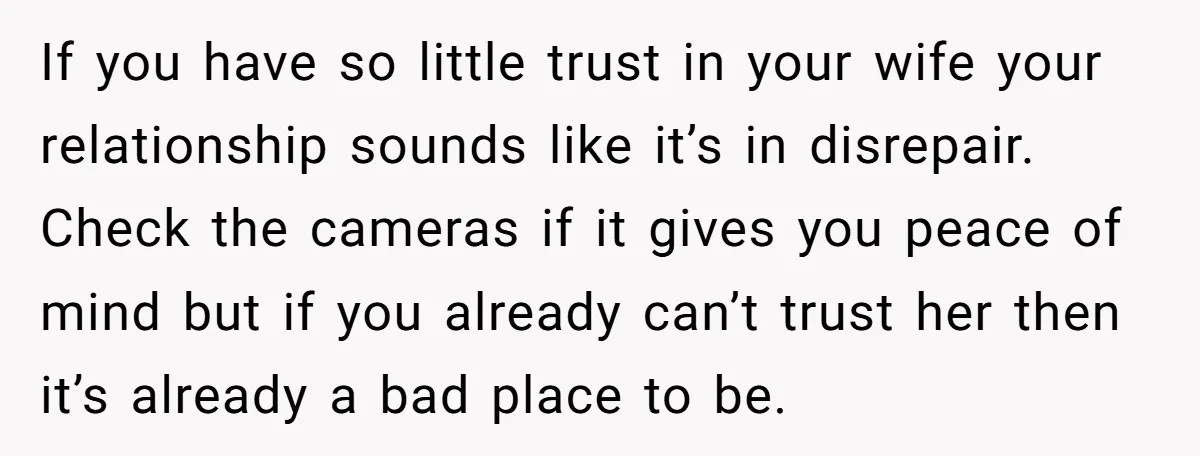 If you have so little trust in your wife your relationship sounds like it’s in disrepair. Check the cameras if it gives you peace of mind but if you already...