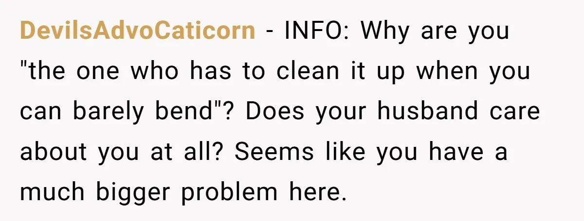 DevilsAdvoCaticorn − INFO: Why are you "the one who has to clean it up when you can barely bend"? Does your husband care about you at all? Seems like you...