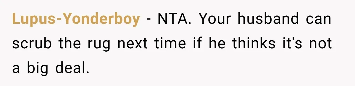 Lupus-Yonderboy − NTA. Your husband can scrub the rug next time if he thinks it's not a big deal.
