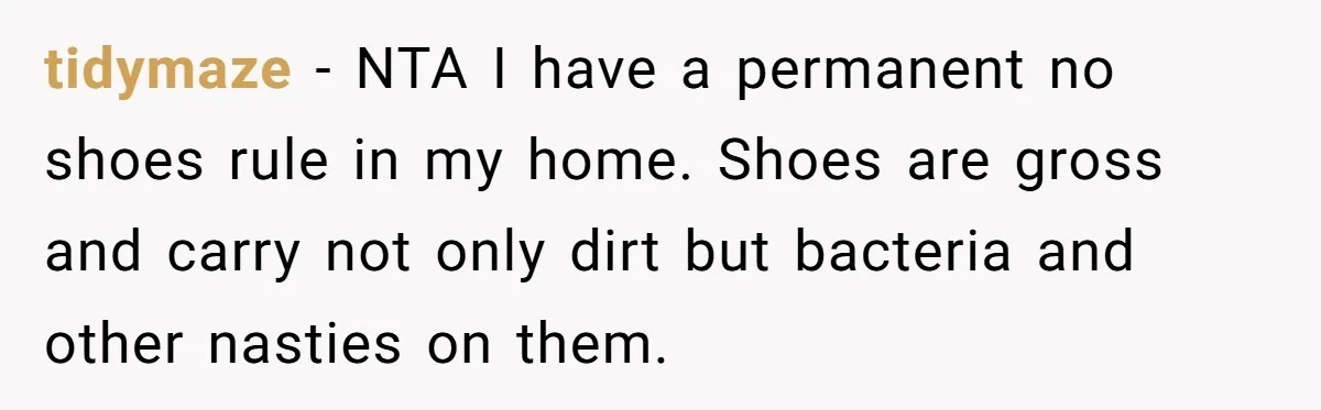 tidymaze − NTA I have a permanent no shoes rule in my home. Shoes are gross and carry not only dirt but bacteria and other nasties on them.