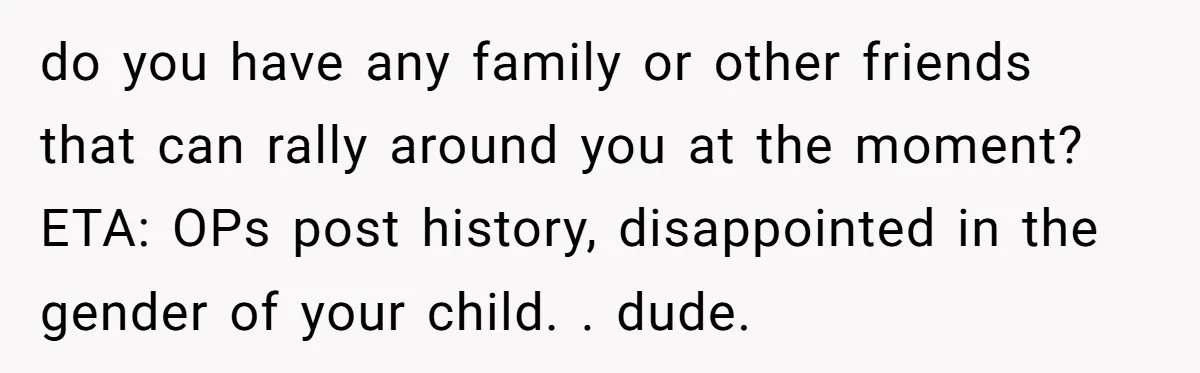 do you have any family or other friends that can rally around you at the moment? ETA: OPs post history, disappointed in the gender of your child. . dude.