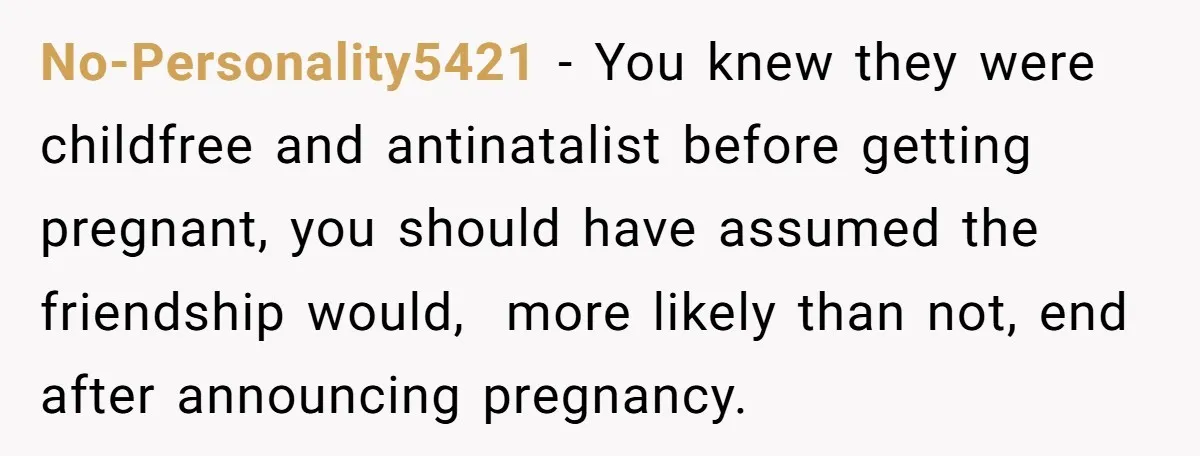 No-Personality5421 − You knew they were childfree and antinatalist before getting pregnant, you should have assumed the friendship would,  more likely than not, end after announcing pregnancy.