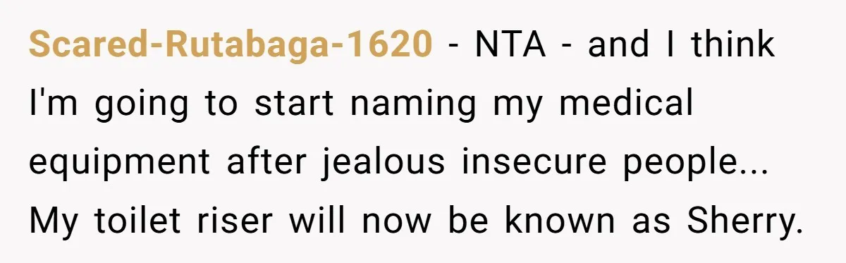 Scared-Rutabaga-1620 − NTA - and I think I'm going to start naming my medical equipment after jealous insecure people... My toilet riser will now be known as Sherry.