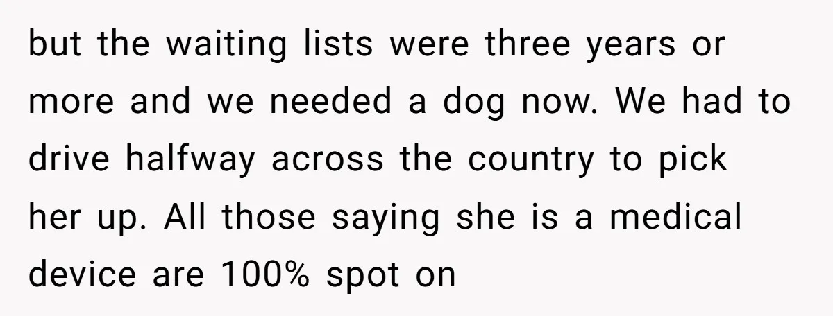 but the waiting lists were three years or more and we needed a dog now. We had to drive halfway across the country to pick her up. All those saying...