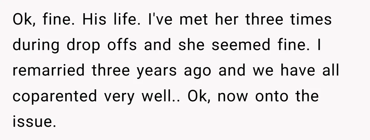 Ok, fine. His life. I've met her three times during drop offs and she seemed fine. I remarried three years ago and we have all coparented very well.. Ok, now...