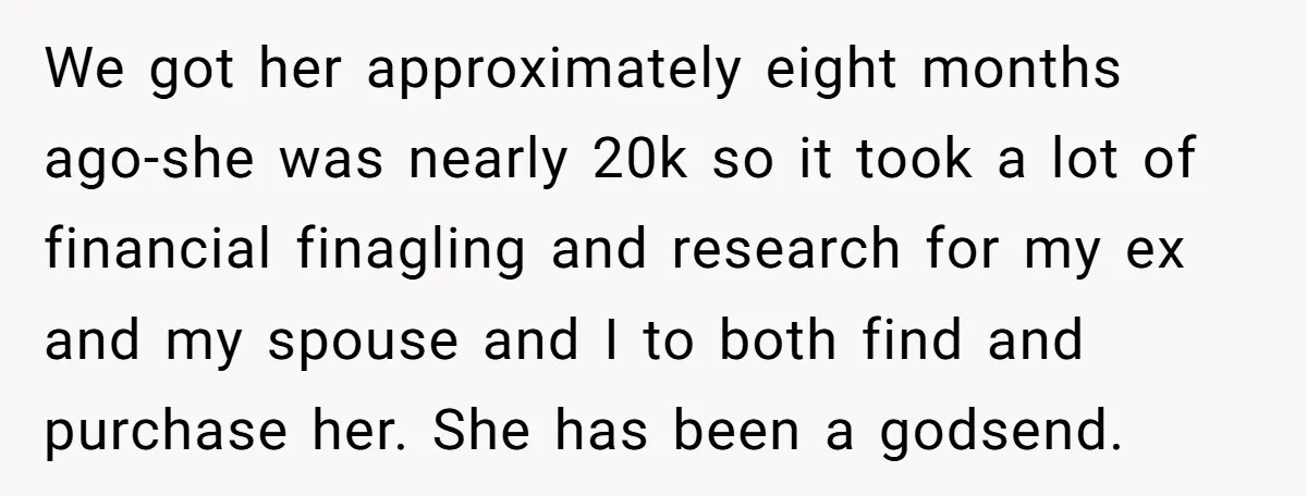 We got her approximately eight months ago-she was nearly 20k so it took a lot of financial finagling and research for my ex and my spouse and I to both...