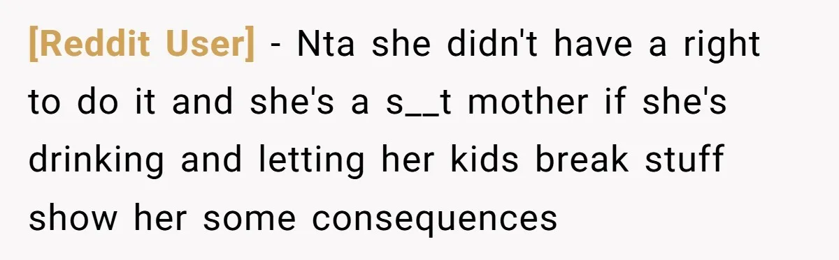 [Reddit User] − Nta she didn't have a right to do it and she's a s__t mother if she's drinking and letting her kids break stuff show her some consequences