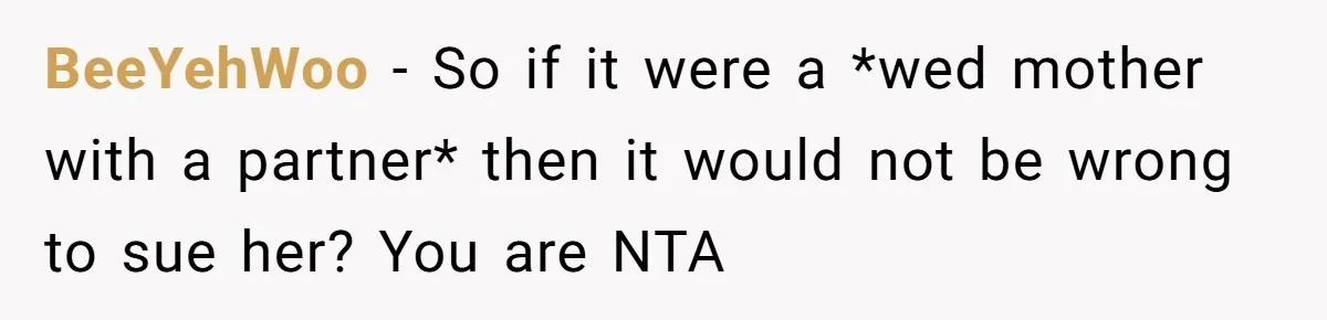 BeeYehWoo − So if it were a *wed mother with a partner* then it would not be wrong to sue her? You are NTA