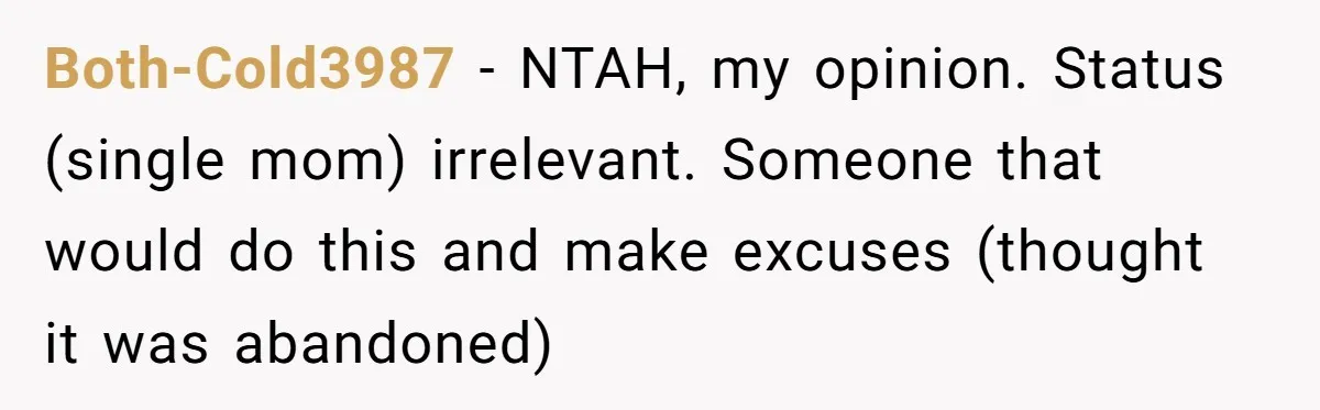 Both-Cold3987 − NTAH, my opinion. Status (single mom) irrelevant. Someone that would do this and make excuses (thought it was abandoned)