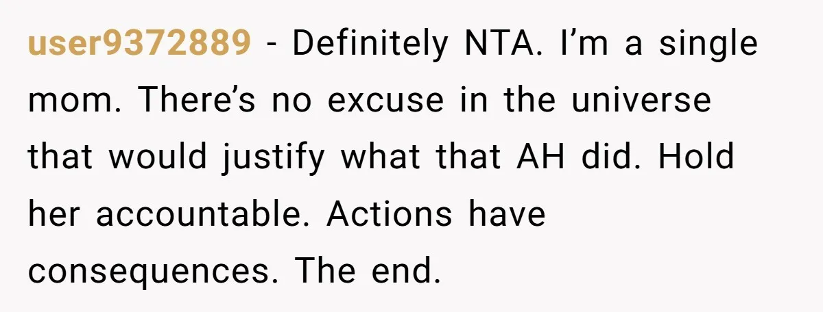 user9372889 − Definitely NTA. I’m a single mom. There’s no excuse in the universe that would justify what that AH did. Hold her accountable. Actions have consequences. The end.