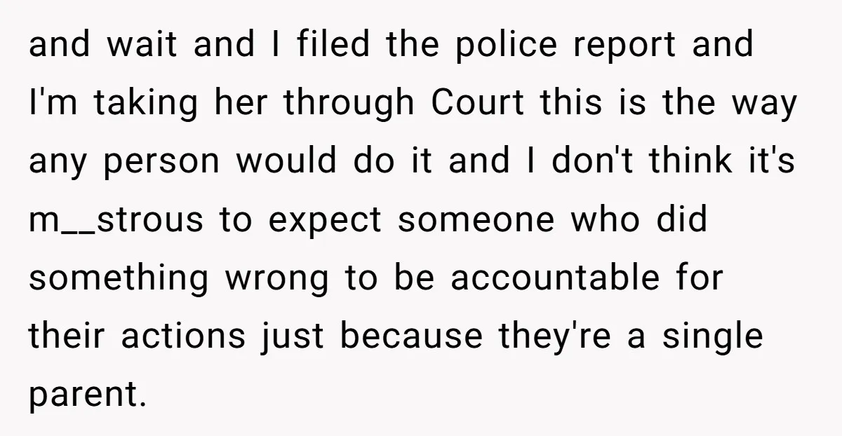 and wait and I filed the police report and I'm taking her through Court this is the way any person would do it and I don't think it's m__strous to...