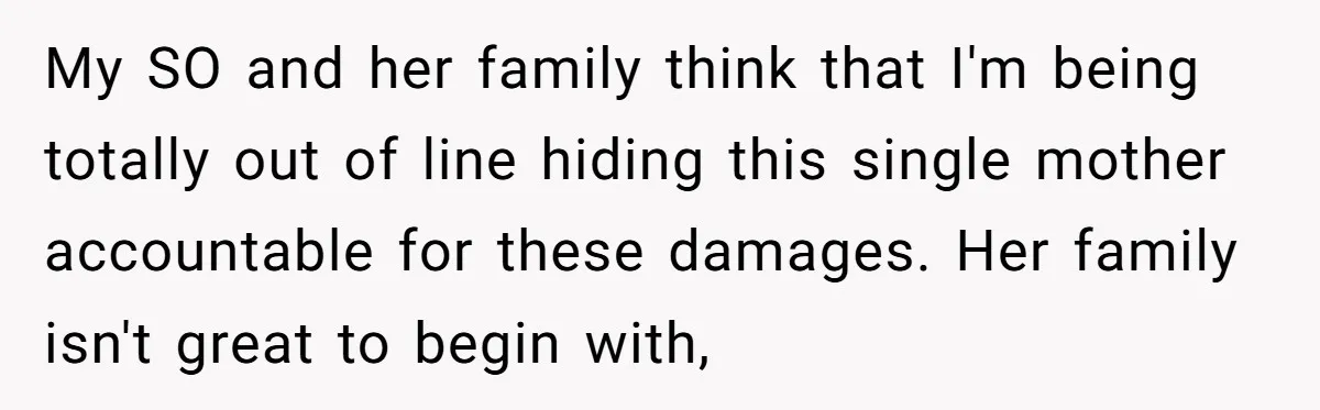 My SO and her family think that I'm being totally out of line hiding this single mother accountable for these damages. Her family isn't great to begin with,