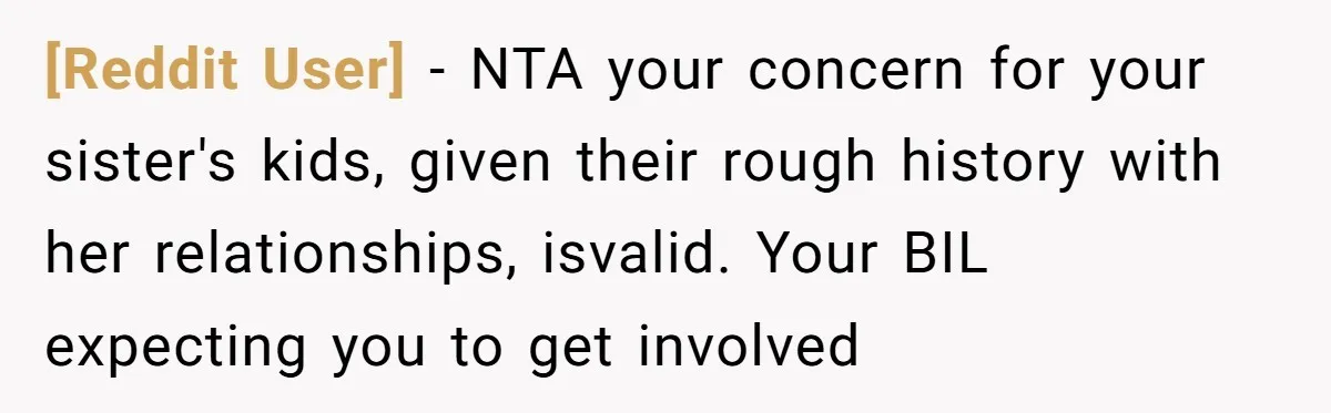 [Reddit User] − NTA your concern for your sister's kids, given their rough history with her relationships, isvalid. Your BIL expecting you to get involved