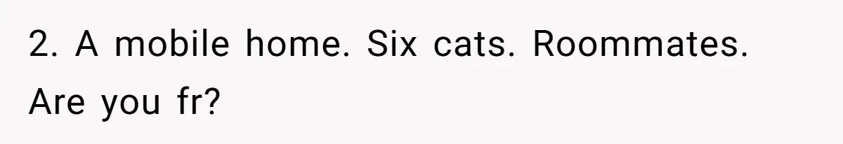 2. A mobile home. Six cats. Roommates. Are you fr?