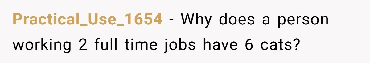 Practical_Use_1654 − Why does a person working 2 full time jobs have 6 cats?