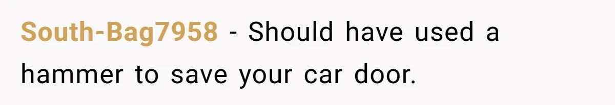South-Bag7958 − Should have used a hammer to save your car door.